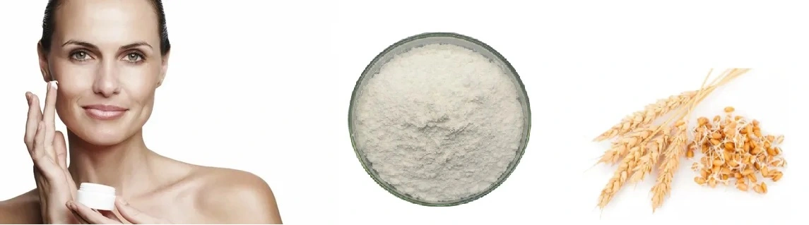 Spermidine Trihydrochloride.jpg